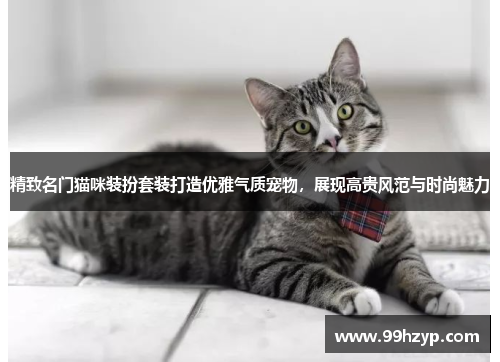 精致名门猫咪装扮套装打造优雅气质宠物，展现高贵风范与时尚魅力